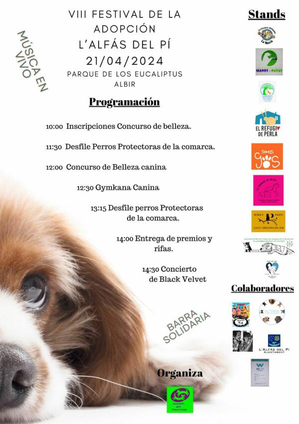 El VIII Festival de la Adopción de l'Alfàs busca casa al mayor número de mascotas el domingo 21 de abril 