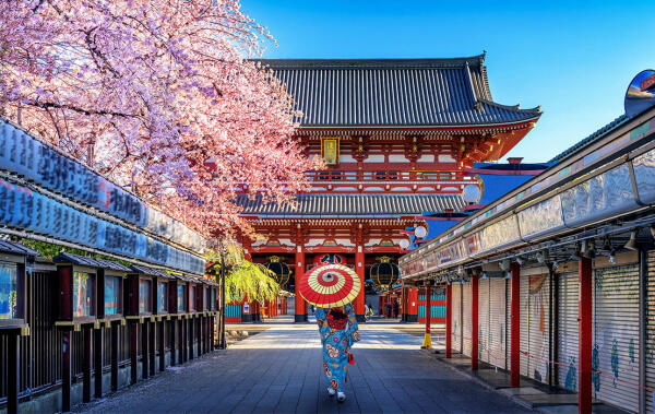 “Los extranjeros que visitan Japón flipan con los retretes” (Camelia Saz)
